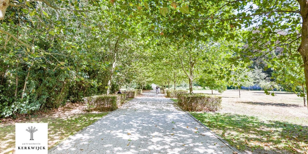 Project Sint-Anna Gent in ontwikkeling